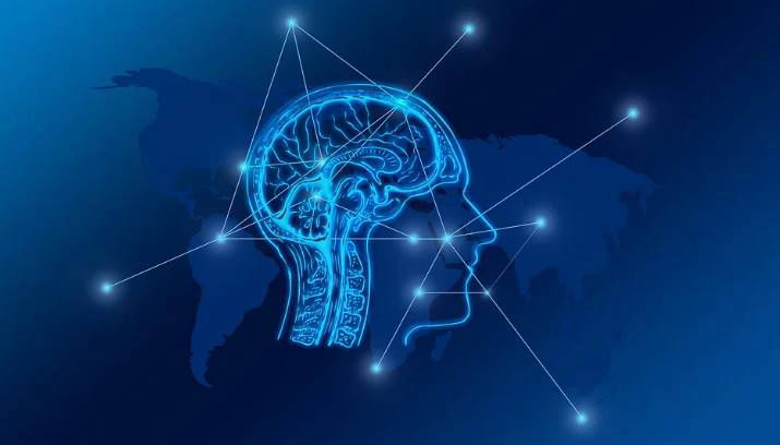 Brain probiotic supports a healthy memory